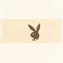 1960's プレイボーイ mini ブラック 転写シート playboy