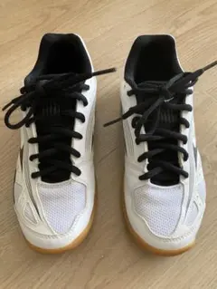 ミズノ ジュニア　バレーボールシューズ 22cm