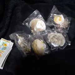 ざ！ 貝マスコット 5種セット サザエ 生牡蠣 シャコガイ ホタテ貝 ハマグリ