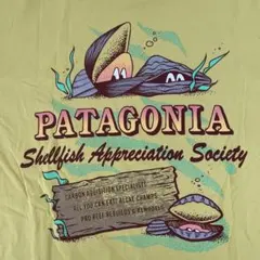 Patagonia パタゴニア Tシャツ Sサイズ
