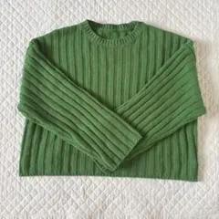 moment+ 6G ワイドリブショート丈ニットプルオーバー グリーン FREE