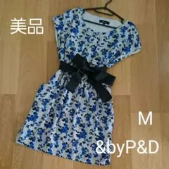 Item thumbnail for item e0fd20fa-751e-4908-8bcc-21dae2eb73b0