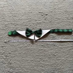 Item thumbnail for item e8ae1459-6551-495b-85c8-b79bcaea55ff