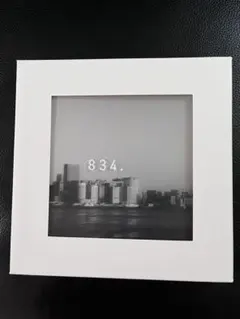 2025年最新】SAKANAQUARIUM 2019 