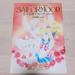 希少 美少女戦士セーラームーンS 動画集 設定資料集 - メルカリ