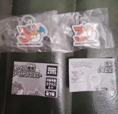 【ポケモン30周年】メタルチャームマスコット めじるしアクセサリー 2種セット