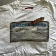 Item thumbnail for item 36e3eeba-3d1c-41d4-bd0f-37733f56863b