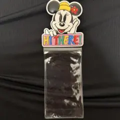 東京ディズニーランド チケットケース ミニーマウス