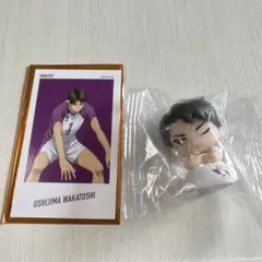 ハイキュー!! 牛島若人 フィギュアとカードセット