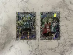 星龍 パーフェクトアース 2枚