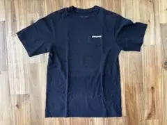 patagonia Tシャツ