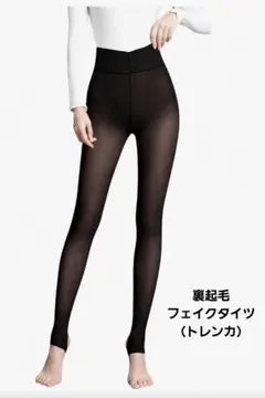 フェイクタイツ 裏起毛 220g トレンカ ストッキング風 透け感 極暖 着圧