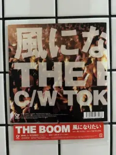 2026年最新】風になりたい the boomの人気アイテム - メルカリ