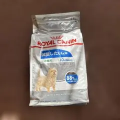 Item thumbnail for item 3983efca-90f8-4247-8c89-c47bd7b82776