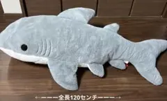 サメ120