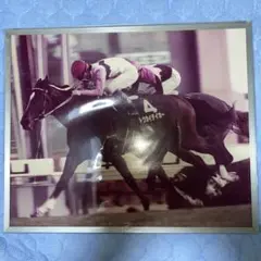 トウカイテイオー 有馬記念パネル 田原成貴　テレビプレゼント当選品