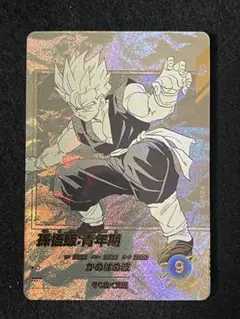 ドラゴンボール　ダイバーズ　孫悟飯:青年期APT-009 パラレル