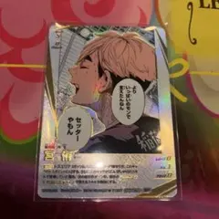 ハイキュー バボカ 宮侑 頂P 1枚