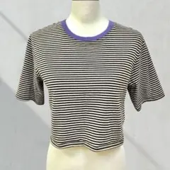 SENSE OF PLACE ボーダー 半袖Tシャツ クロップド丈 綿100%