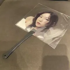 少女時代 テヨン TAEYEON 透明うちわ 公式