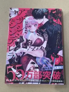アサシン&シンデレラ(5)