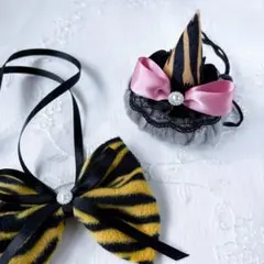 Item thumbnail for item ba2d394b-f4ba-4487-9763-b464d0c11577