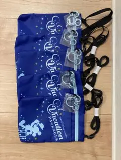 ディズニーランド バケーションパッケージのチケットホルダー