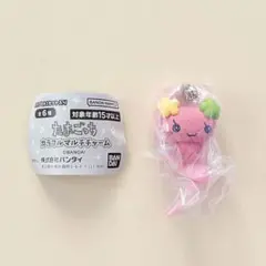 【ふらわっち】たまごっち カラフルマルチチャーム