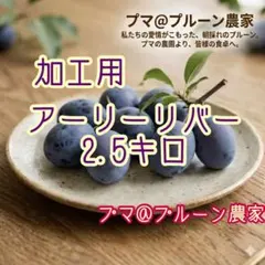 169 長野県産プルーン【アーリーリバー】 プマ@プルーン農家よりお届けのサムネイル