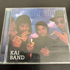 甲斐バンド/ビッグ・ナイト(廃盤CD) - メルカリ