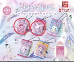ジュエルペット パッケージミニチュアチャーム