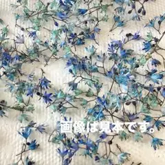 JaSmiNE*様 リクエスト 2点 まとめ商品 - メルカリ