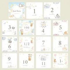 ましかく　マンスリーカード　月齢カード　アルバス　アルバム　動物雲