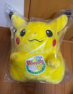 ポケモン30周年記念おかえり!ピカチュウ1/1