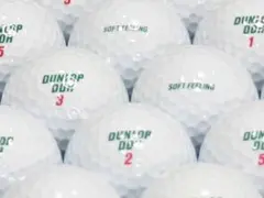 DUNLOP DDH SOFT FEELING Bランク ロストボール 24個のサムネイル