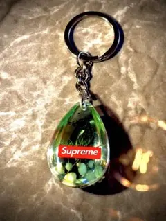 Supreme Seahorse Keychain FW16 タツノオトシゴ
