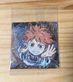 劇場版ハイキュー!! ゴミ捨て場の決戦 シールウエハース 排球レア・極 日向翔陽