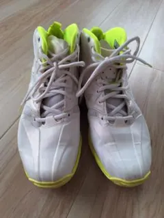 Item thumbnail for item b59ebc3c-3fc0-4af4-83b6-332b3ce6ff50