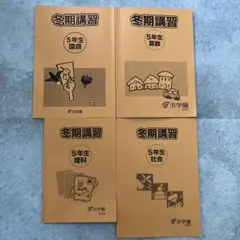 2026年最新】浜学園小4テキストの人気アイテム - メルカリ