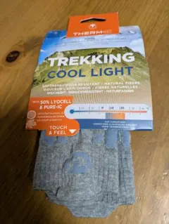 Item thumbnail for item 99c41817-1308-4b42-9c90-381dd2b88aaf