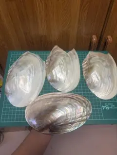 黒蝶貝 置き物 アクセサリー素材 ハンドメイド 自作ルアー お皿 - メルカリ