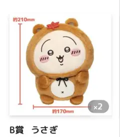 たぬきだもんくじB賞 うさぎ