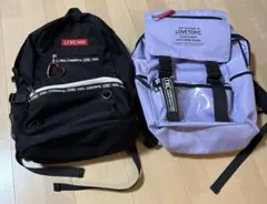 Item thumbnail for item 2e37b1ec-57ce-4054-b627-def0c5fc2898