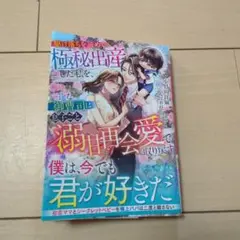 駆け落ちを諦めて極秘出産した私を、一途な御曹司は息子ごと溺甘再会愛で取り戻す