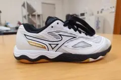 着用3回☆ミズノ ウエーブメダル7 卓球シューズ 22.5cm 白×黒