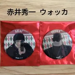 名探偵コナン トレーディングメタリック缶バッジG
