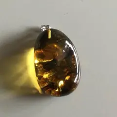 琥珀ペンダントトップ