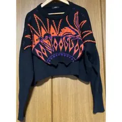DIESELクロップドニットのサムネイル