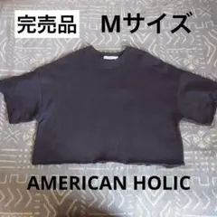 【未使用です】AMERICAN HOLIC ミニ裏毛5分袖プルオーバー Mのサムネイル