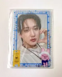 straykids スキズ サウナ フォトカードスリーブセット チャンビン